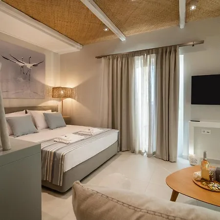 Apartament Tis Yayas *